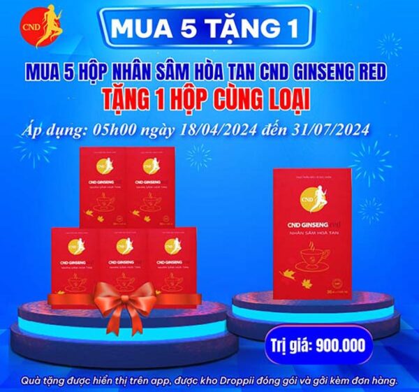 nhan sam hoa tan cnd ginseng red 03