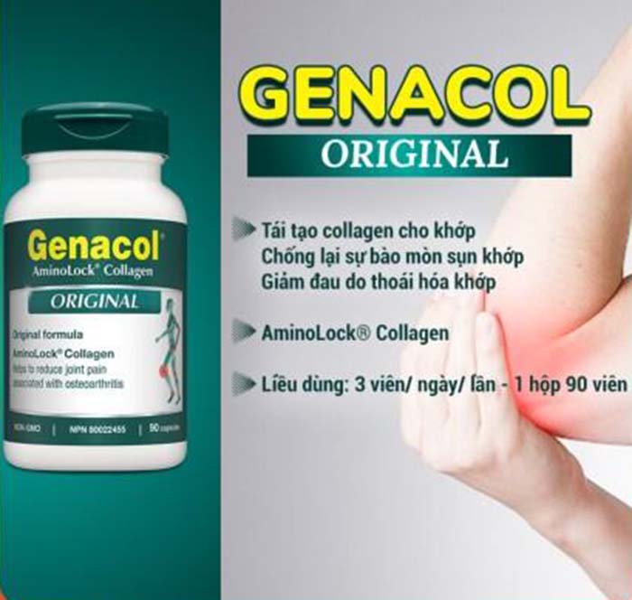 thực phẩm bảo vệ sức khỏe genacol original 2