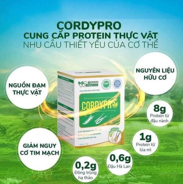 thuc pham bao ve suc khoe protein thuc vat cordypro 04