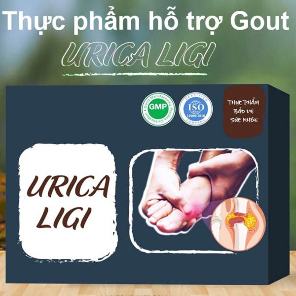 thuc-pham-ho-tro-gout-urica-ligi-01