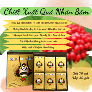 chiet-xuat-qua-nhan-sam-han-quoc-04