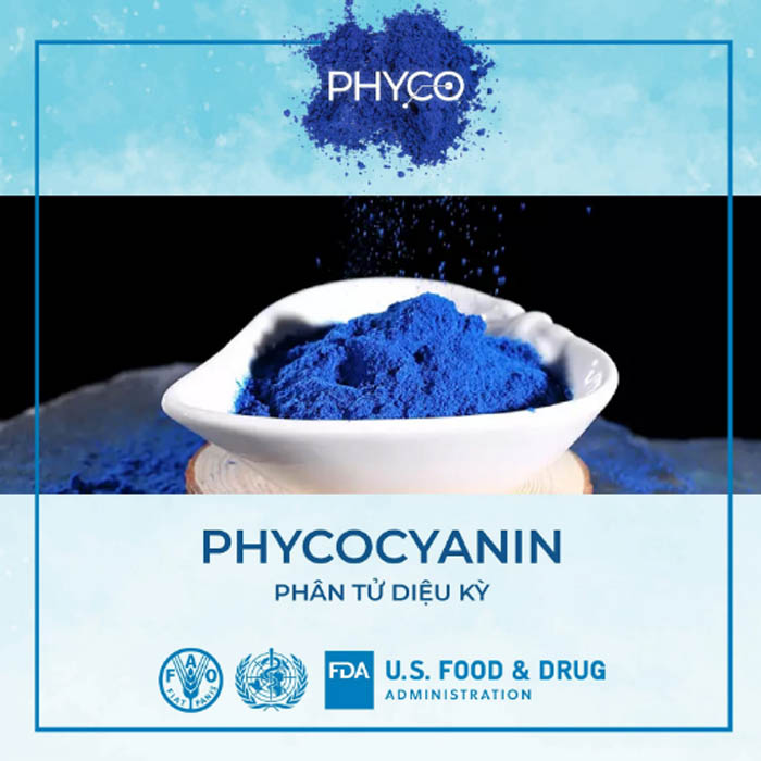 loi-ich-thuc-pham-bo-sung-phycocyanin-spirulysat-cuivre-01