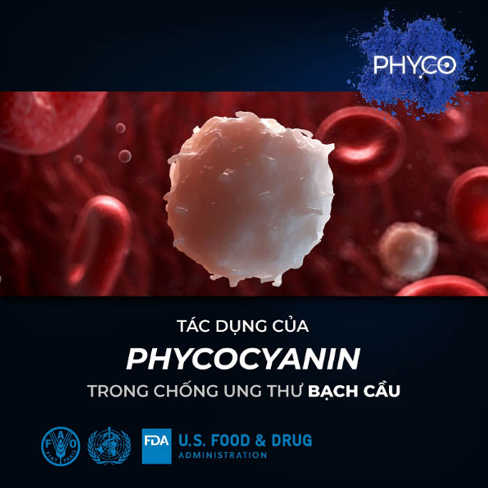 loi-ich-thuc-pham-bo-sung-phyco-spirulysat-cuivre-04