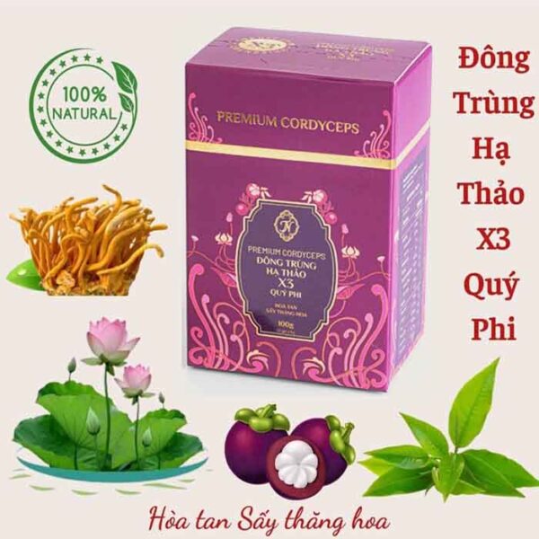 đông trùng hạ thảo x3 quý phi + túi giấy - hình ảnh 7
