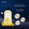 Banner cong dung-stay magical