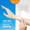 Sữa chống nắng phổ rộng CChoi Daily UV Protection Milk - Hình ảnh 4