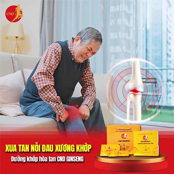cnd-ginseng-duong-khop-hoa-tan-9
