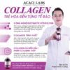 Viên uống collagen thủy phân Acaci Labs - Hình ảnh 3