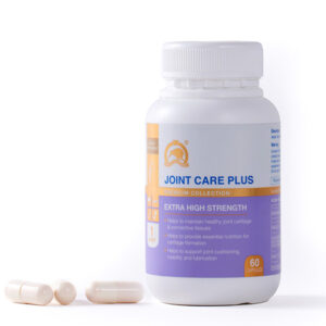 KIWI GOLDEN KIWI Joint Care Plus HSC (Hộp 60 viên)