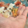 Ginseng Berry S Pill - Viên Uống Chống Đột Quỵ - Hình ảnh 4